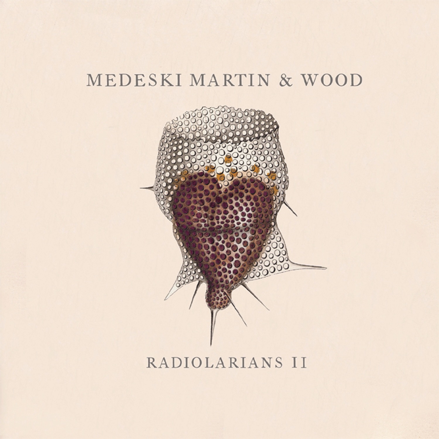 Radiolarians II