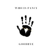 Who Is Fancy - Goodbye  artwork