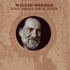 Willie Nelson: Live at Billy Bob`s Texas