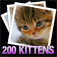 200 Kitten Wallpaper ...