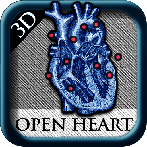 Open Heart 3D