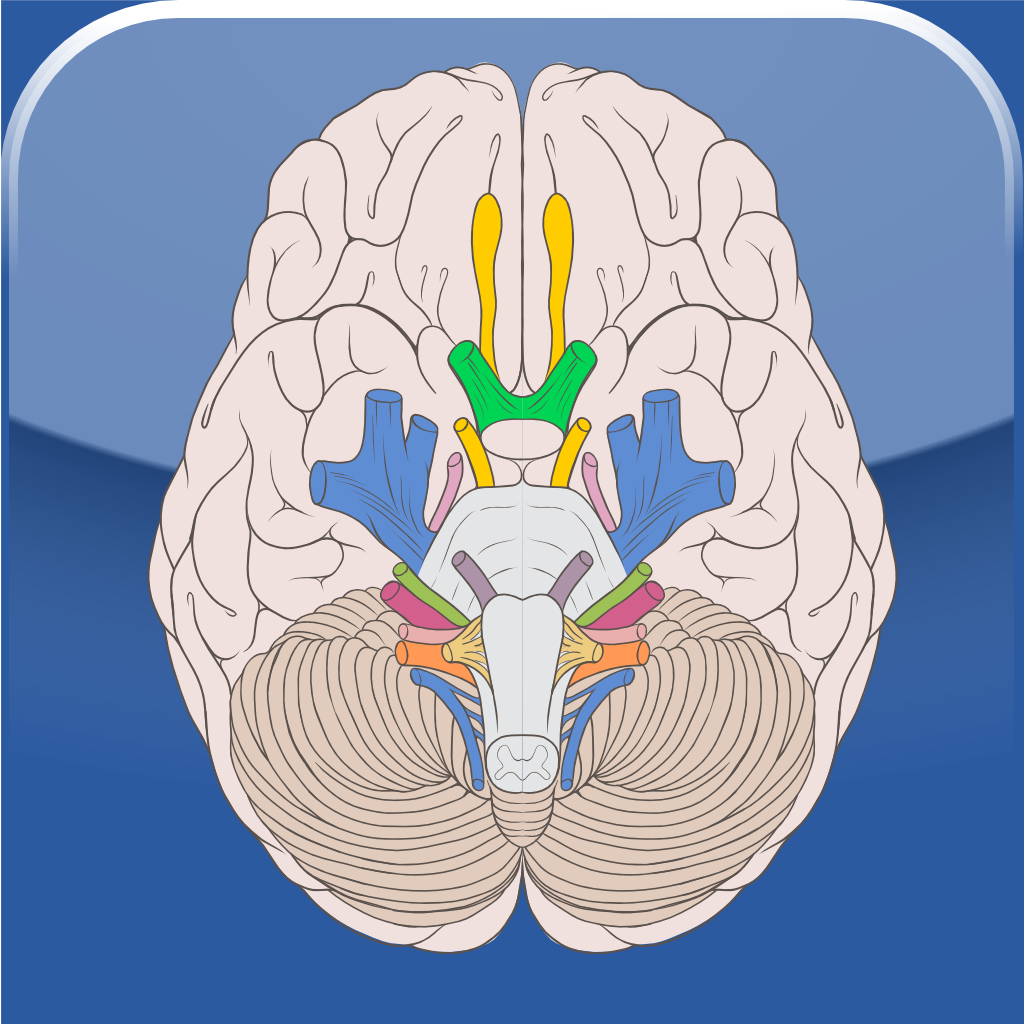 Cranial Nerves ~ Pocket Clinical Resource