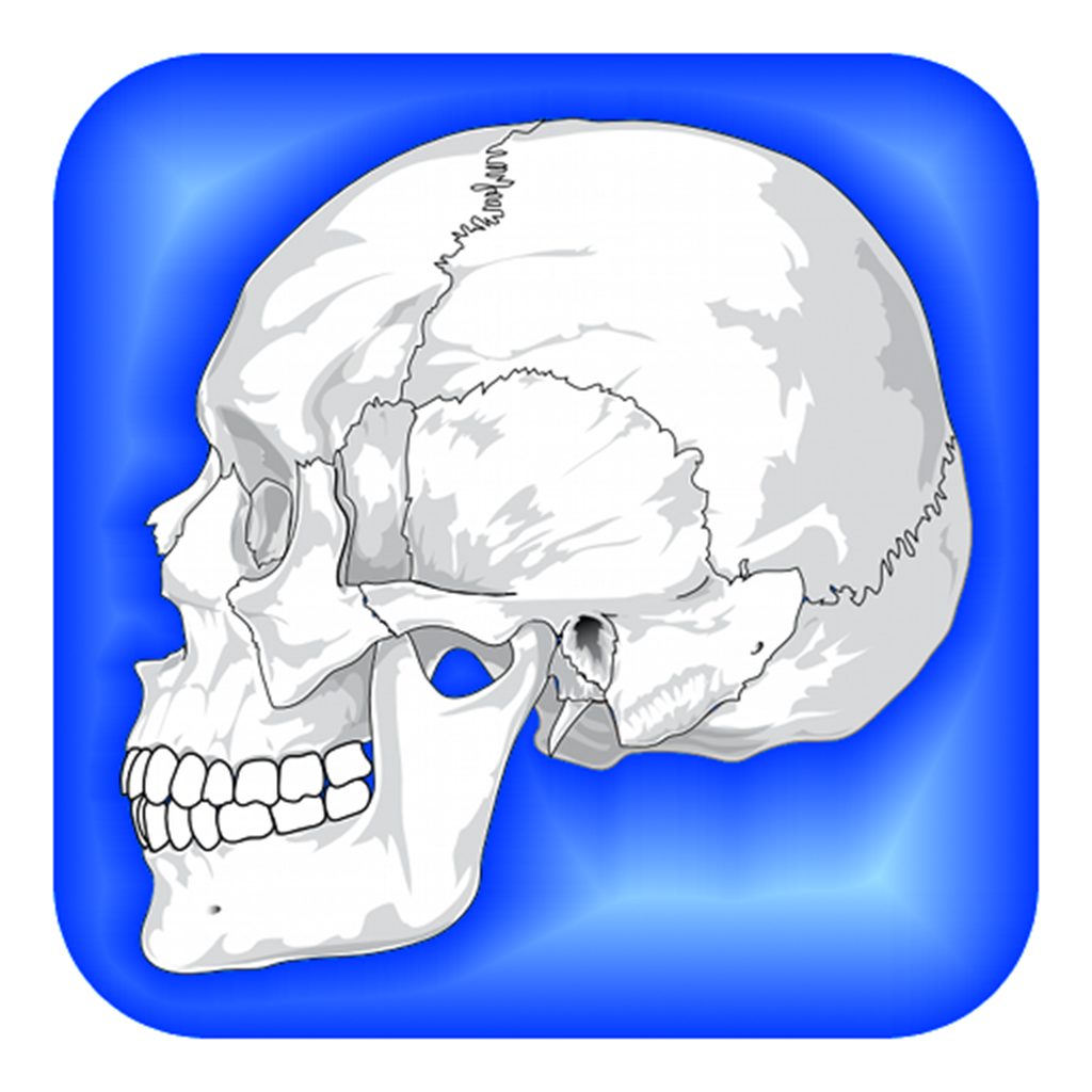 no app image