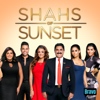 Shahs of Sunset - Crunch vs. Munch  artwork