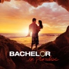 Bachelor in Paradise - 204B  artwork