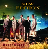 New Edition - Can You Stand the Rain  artwork