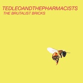 Bottled In Cork - Ted Leo and the Pharmacist