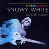 Bird of Paradise - An Anthology
