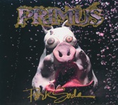 Bob - Primus
