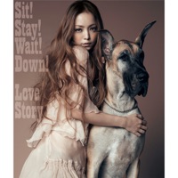 Love Story (安室奈美恵)