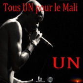 U N (feat. Oxmo Puccino, Inna Modja, Féfé, Cheick Tidiane Seck, Doudou Masta, Ousco ofgroup SMOD, King Massassy, Abbba, Lele, Elie Guillou, Toya, Ramses group Tata Pound, RIM, Lyor, Rouda, Camille Richard & Tanti Kouyaté & Amkoullel) - Single