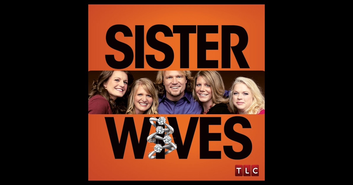 Sister Wives Part 2 Heat Exchanger Spare Parts