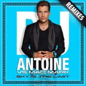 Sky Is the Limit (Remixes)