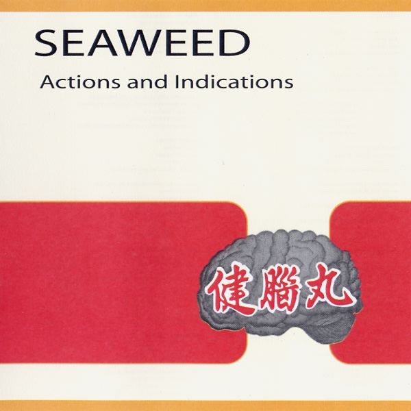 Seaweed - Thru the Window
