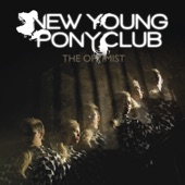 Lost a Girl - New Young Pony Club