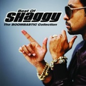 The Boombastic Collection - Best of Shaggy