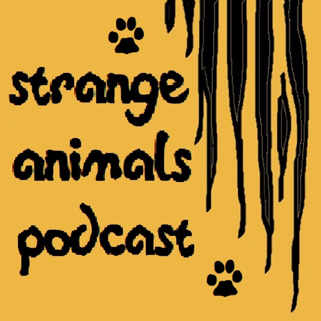 Image result for strange animals podcast album art