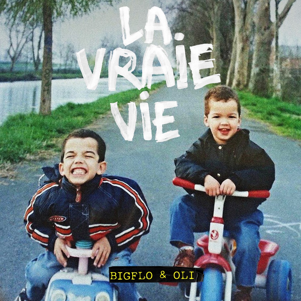 Bigflo Dommage