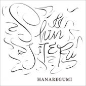 ハナレグミ - SHINJITERU アートワーク