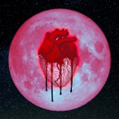 Chris Brown - Heartbreak on a Full Moon  artwork