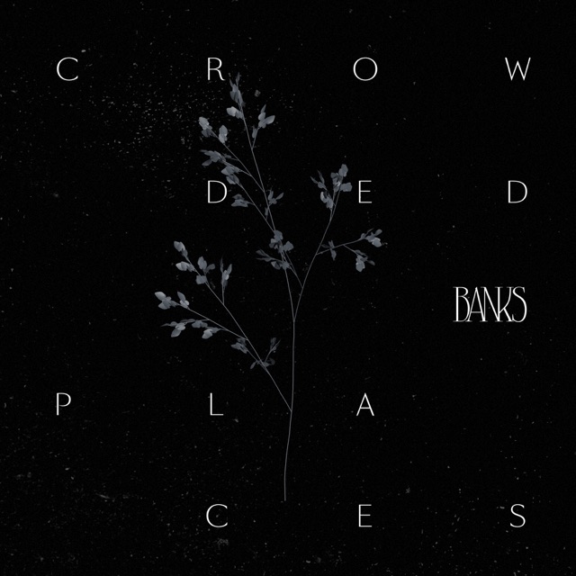 Banks Crowded Places - Single Album Cover