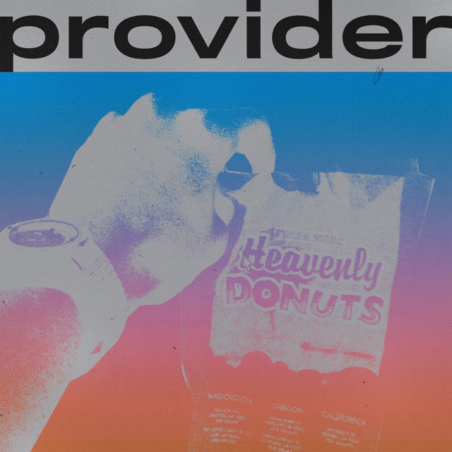 Provider - Single Album Cover