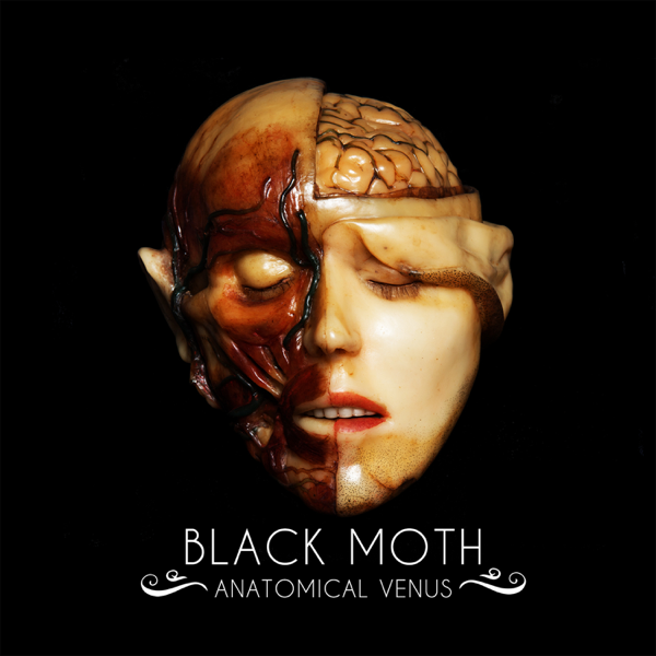 [leak hq] black moth -anatomical venus album mp3