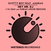 Scotty Boy - Hey Mr. DJ (DJ Dan Remix) [feat. Amiirah]
