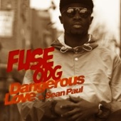 Dangerous Love (feat. Sean Paul)