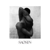 Saosin - Along the Shadow (Deluxe Edition)  artwork