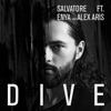 Dive (feat. Enya & Alex Aris)