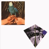 Andrew Bird - Are You Serious (Deluxe Edition)  artwork