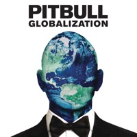 Pitbull feat. Ne-Yo - Time Of Our Lives