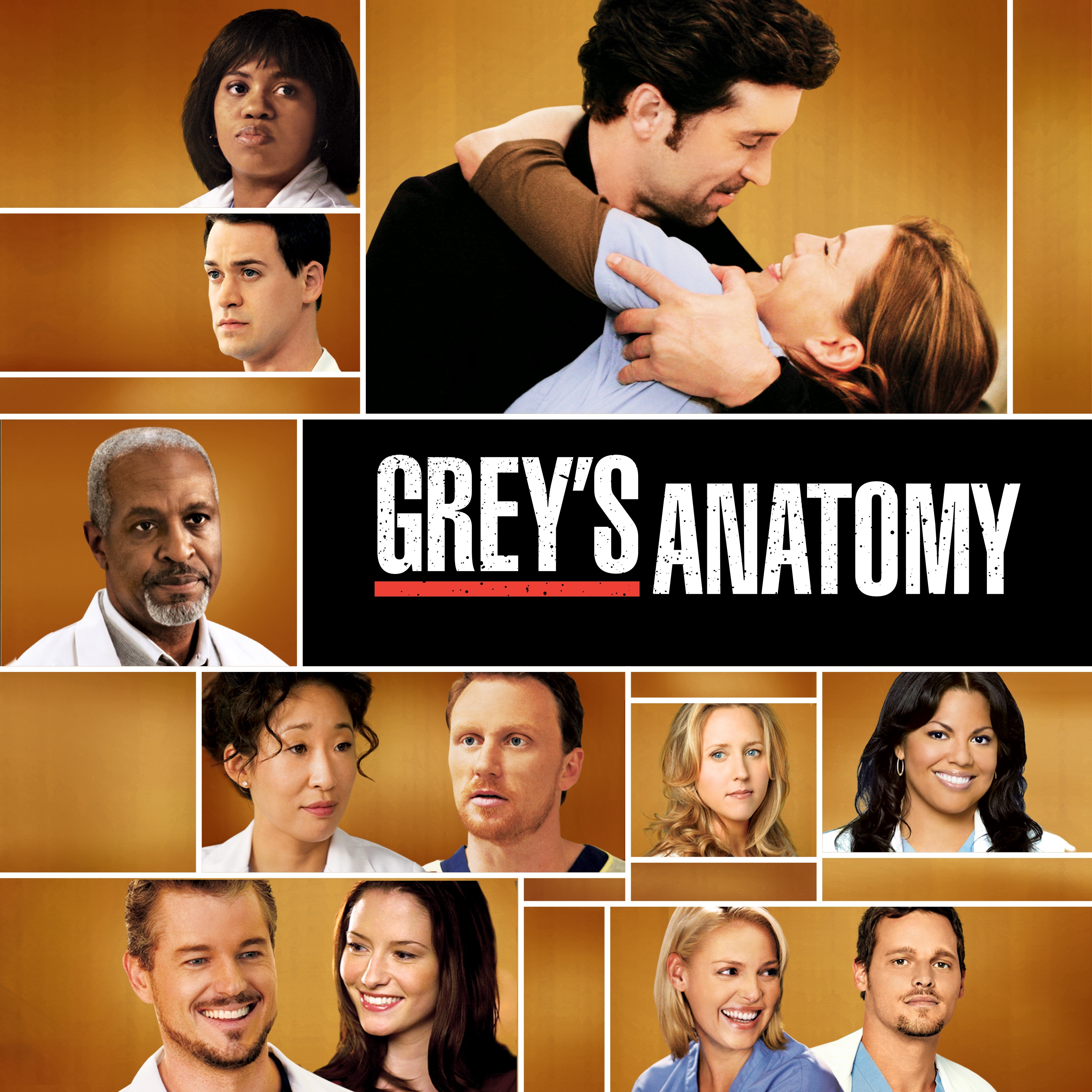 Greys Anatomy TV Series 2005 - IMDb