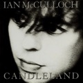 Ian+McCulloch Different+Trees