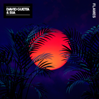 David Guetta & Sia - Flames artwork