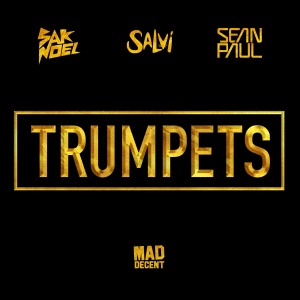 Sak Noel & Salvi feat. Sean Paul - Trumpets (Nils Van Zandt Remix)