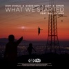 What We Started (feat. BullySongs) - Single