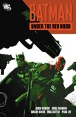Judd Winnick, Doug Mahnke & Various Authors - Batman: Under the Red Hood artwork