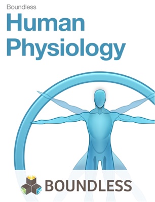 Human Physiology