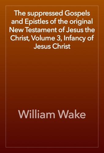 The suppressed Gospels and Epistles of the original New Testament of Jesus the Christ Volume 3 Infancy of Jesus Christ