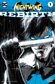 Tim Seeley & Yanick Paquette - Nightwing: Rebirth (2016-) #1 artwork