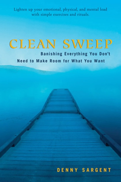 clean sweep book series