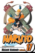Masashi Kishimoto - Naruto, Vol. 17 artwork