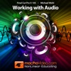 Course For Final Cut Pro X 105 - Working With Audio