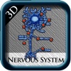 3D Nervous System
