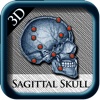Sagittal Skull 3D