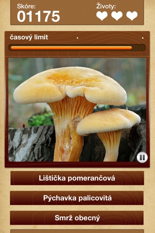 iPhone Screenshot 3