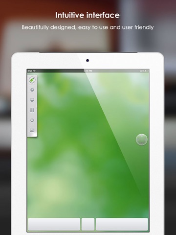 iPad Screenshot 3