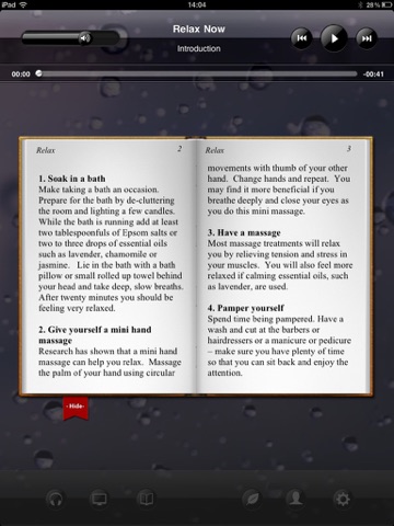 iPad Screenshot 2